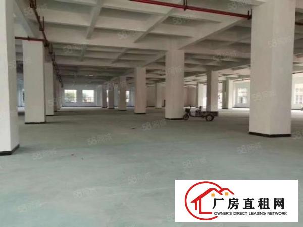  石碣镇全新标准厂房出租二楼整层5500方，租金17元！