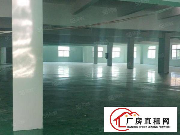  石碣独门独院标准厂房二楼1400平方出租，交通方便易招工