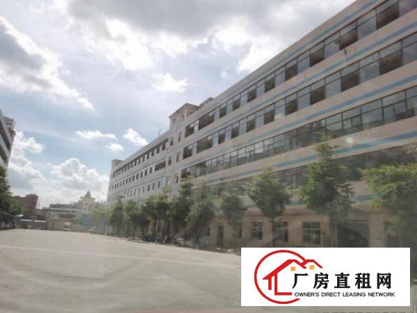  石碣镇涌口工业区独院厂房2一5楼每层800方大电梯可分层出租