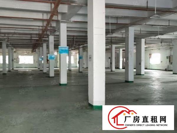  石碣原房东新出独门独院一楼1000平方带地坪漆