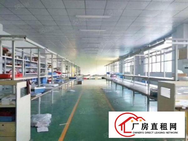  石碣单钢结构单一层小厂房1200方，价格美丽，交通方便!