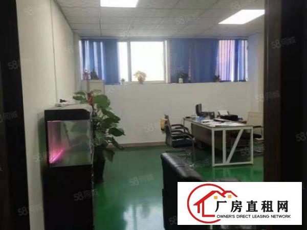  石碣单钢结构单一层小厂房1200方，价格美丽，交通方便!