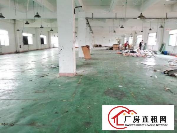  石碣镇横滘楼上3200方厂房超大电梯可分租合适各种行业可分租