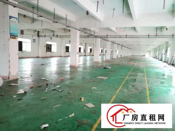  石碣镇横滘楼上3200方厂房超大电梯可分租合适各种行业可分租