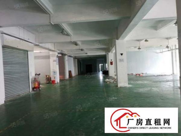  石碣新出原房东厂房出租30000方现成装修，可拎包入住。