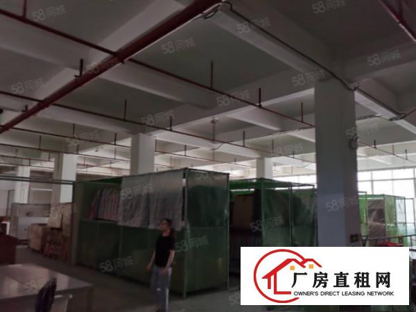  （一楼招租）石碣镇厂房带装修，一楼2200平方，高6米的