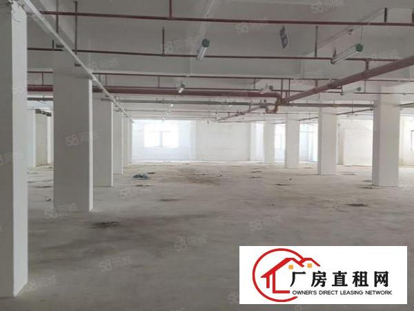  石碣原房东全新厂房1到6层可办环平可分租共36000平