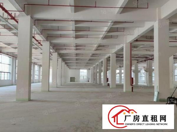  石碣原房东全新厂房1到6层可办环平可分租共36000平