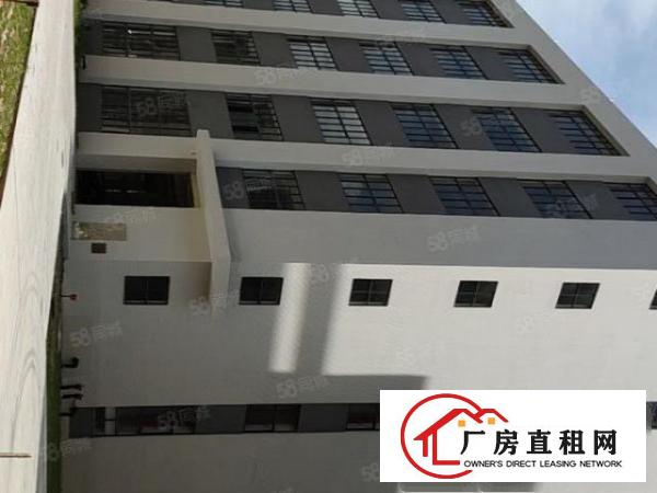  石碣原房东全新厂房1到6层可办环平可分租共36000平