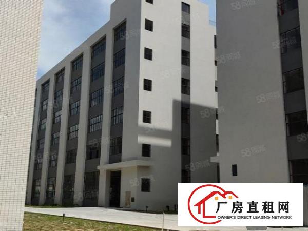  石碣原房东全新厂房1到6层可办环平可分租共36000平