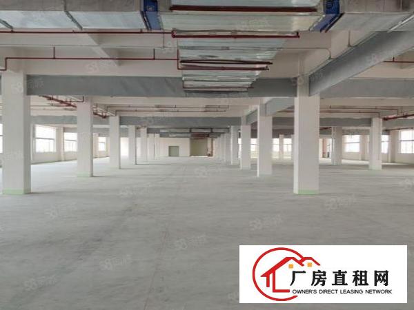  石碣原房东全新厂房1到6层可办环平可分租共36000平