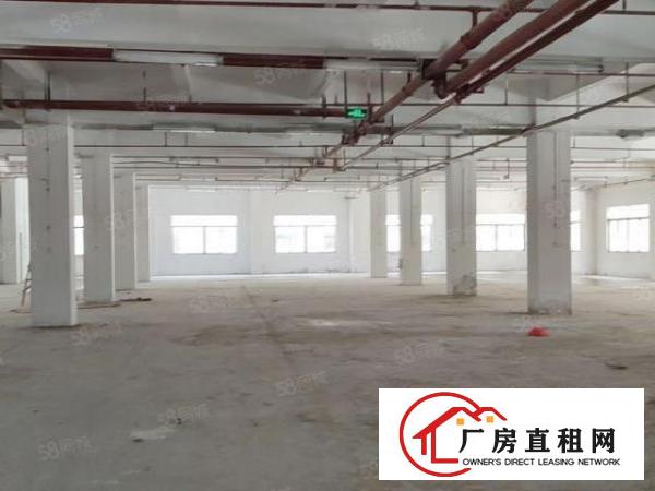  石碣原房东全新厂房1到6层可办环平可分租共36000平