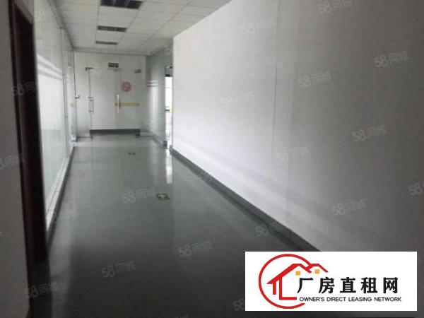  石碣桔州单一层厂房3000方（独门独院好办环评）