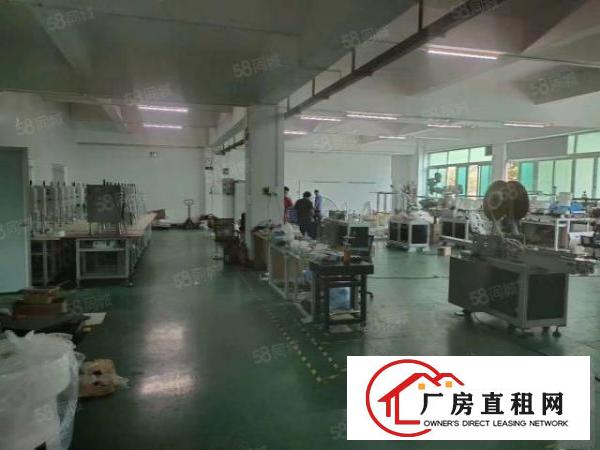  四甲新出原房东独院厂房楼上1380平带精装修办公室前台
