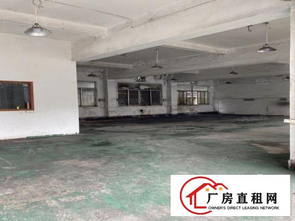  非中介，石碣四甲四兴路独院厂房