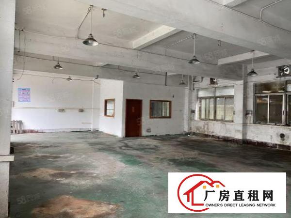  非中介，石碣四甲四兴路独院厂房