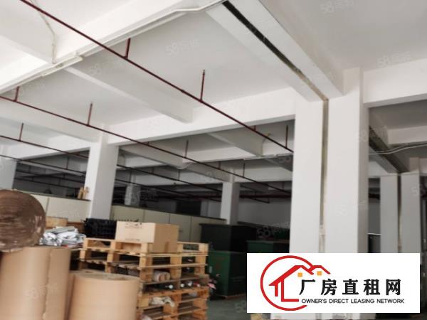  （一楼招租）石碣镇厂房带装修，一楼2200平方，高6米的