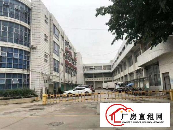 刘屋新出独院一楼800平，带地坪漆报价18元