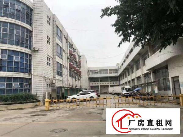  刘屋新出独院一楼800平，带地坪漆报价18元