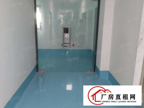  石碣二楼900平方，带豪华装修，两部三吨电梯直达车间，可分租