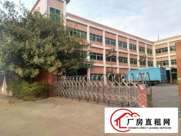  石碣桔州独院厂房7500方（可分租空地大好办环评）
