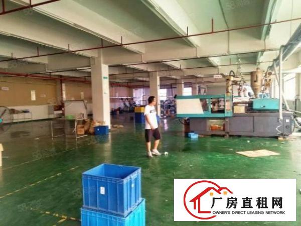  石碣桔州独院厂房7500方（可分租空地大好办环评）