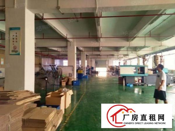  石碣桔州独院厂房7500方（可分租空地大好办环评）