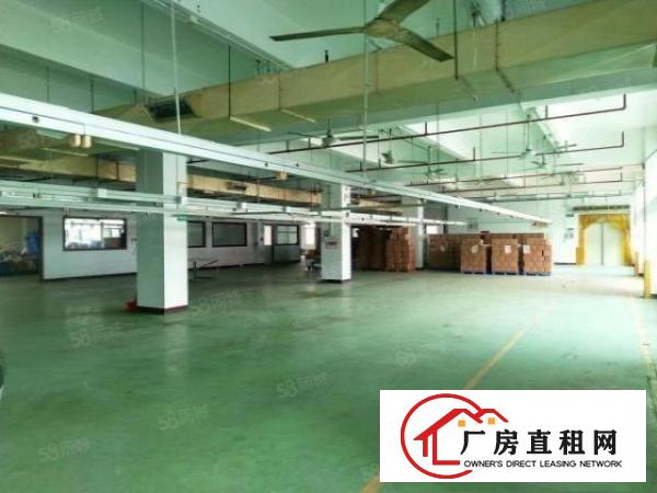  石碣桔州独院厂房7500方（可分租空地大好办环评）