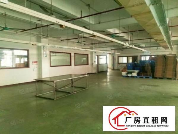  石碣桔州独院厂房7500方（可分租空地大好办环评）