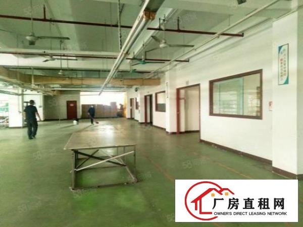  石碣桔州独院厂房7500方（可分租空地大好办环评）