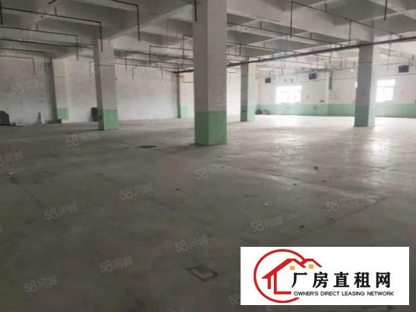  东莞石碣新出原房东厂出租二楼2500平方仅需17元