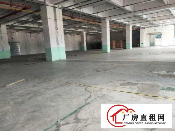  东莞石碣新出原房东厂出租二楼2500平方仅需17元
