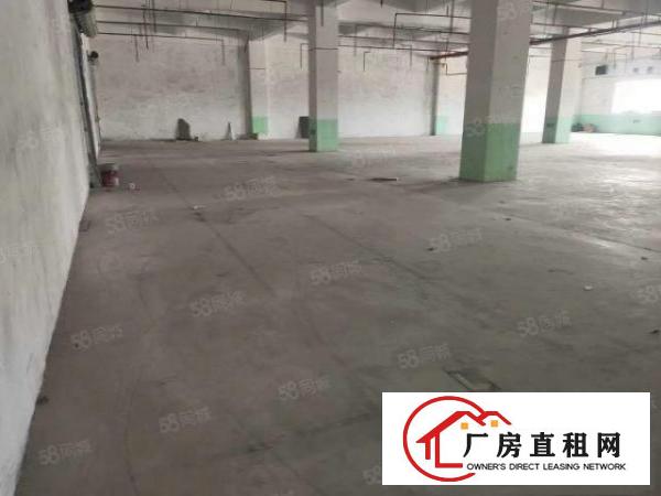  东莞石碣新出原房东厂出租二楼2500平方仅需17元