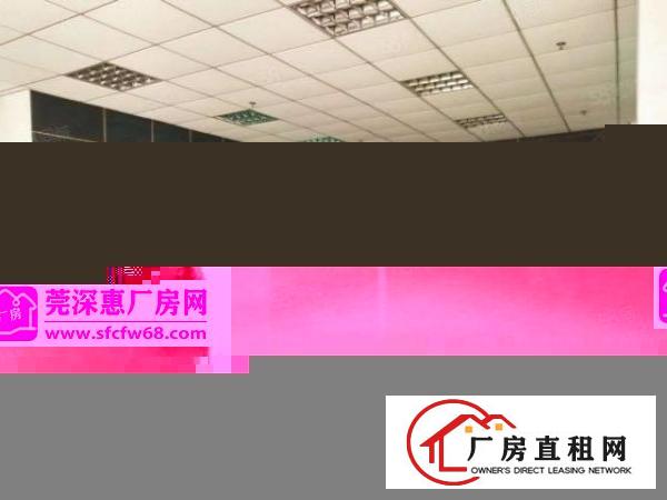  石碣涌口一楼2100方（空地大好办环评）