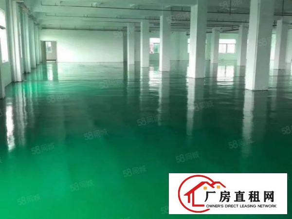  石碣镇独院带装修厂房二楼出租，面积2000方，租金12元