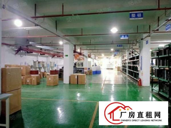  石碣西南一楼3000方（精装修水电齐全）