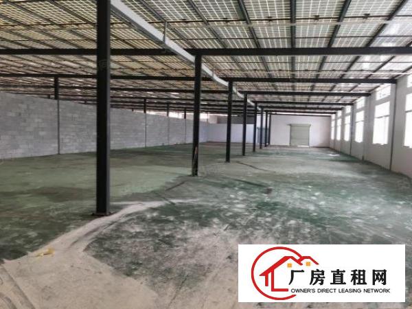  新出钢构豪华厂房价格实惠