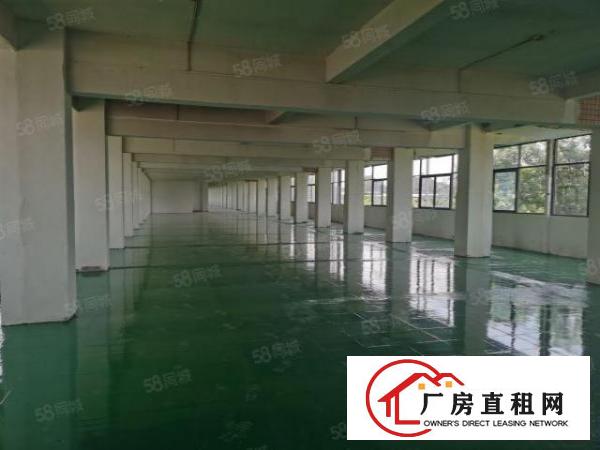  石碣镇涌口村6400方厂房招租可分租800方独立电梯一家用
