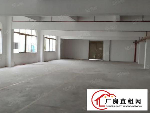  石碣原房东新出豪华标准厂房价格实惠给钱就租可办环评