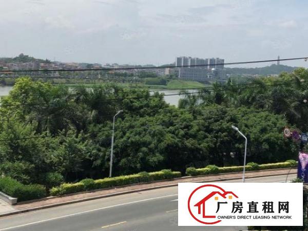  非中介，石碣滨江东路165独门独园厂房