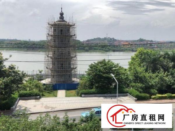  非中介，石碣滨江东路165独门独园厂房