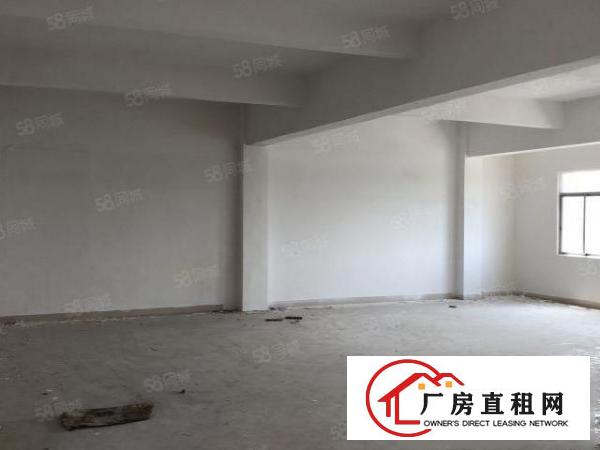  非中介，石碣滨江东路165独门独园厂房