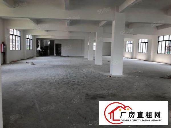  非中介，石碣滨江东路165独门独园厂房
