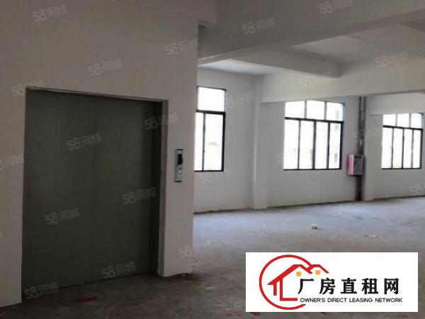  非中介，石碣滨江东路165独门独园厂房