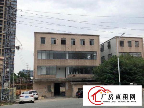  非中介，石碣滨江东路165独门独园厂房
