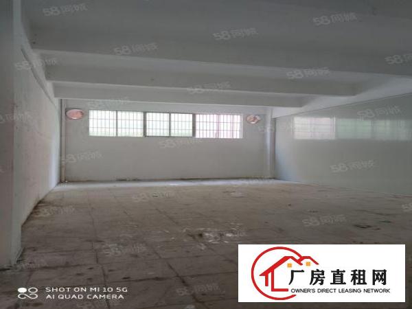  新出标准一楼厂房出租可办环评交通方便