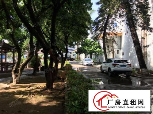  新出石碣重工业花园式厂房