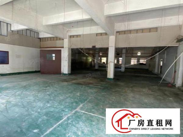  石碣四甲原房东招租标准独院厂房一楼500平方，无公摊
