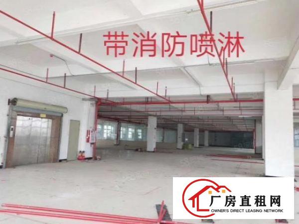  新出豪华实惠厂房出租
