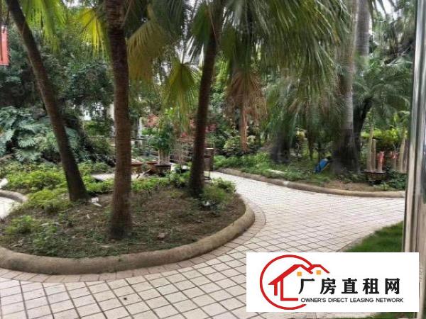  新出豪华实惠厂房出租